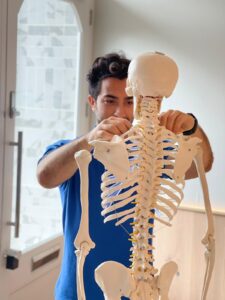 osteopath marco adjusting skeletal figure